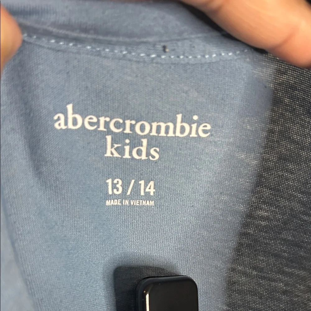 Abercrombie & Fitch Blue Tee with Logo Stripe